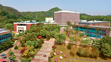 Halla University