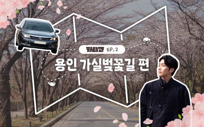 [차타GO] EP2. '멋잘알' HL인의 남다른 여행기, 가실벚꽃길 편